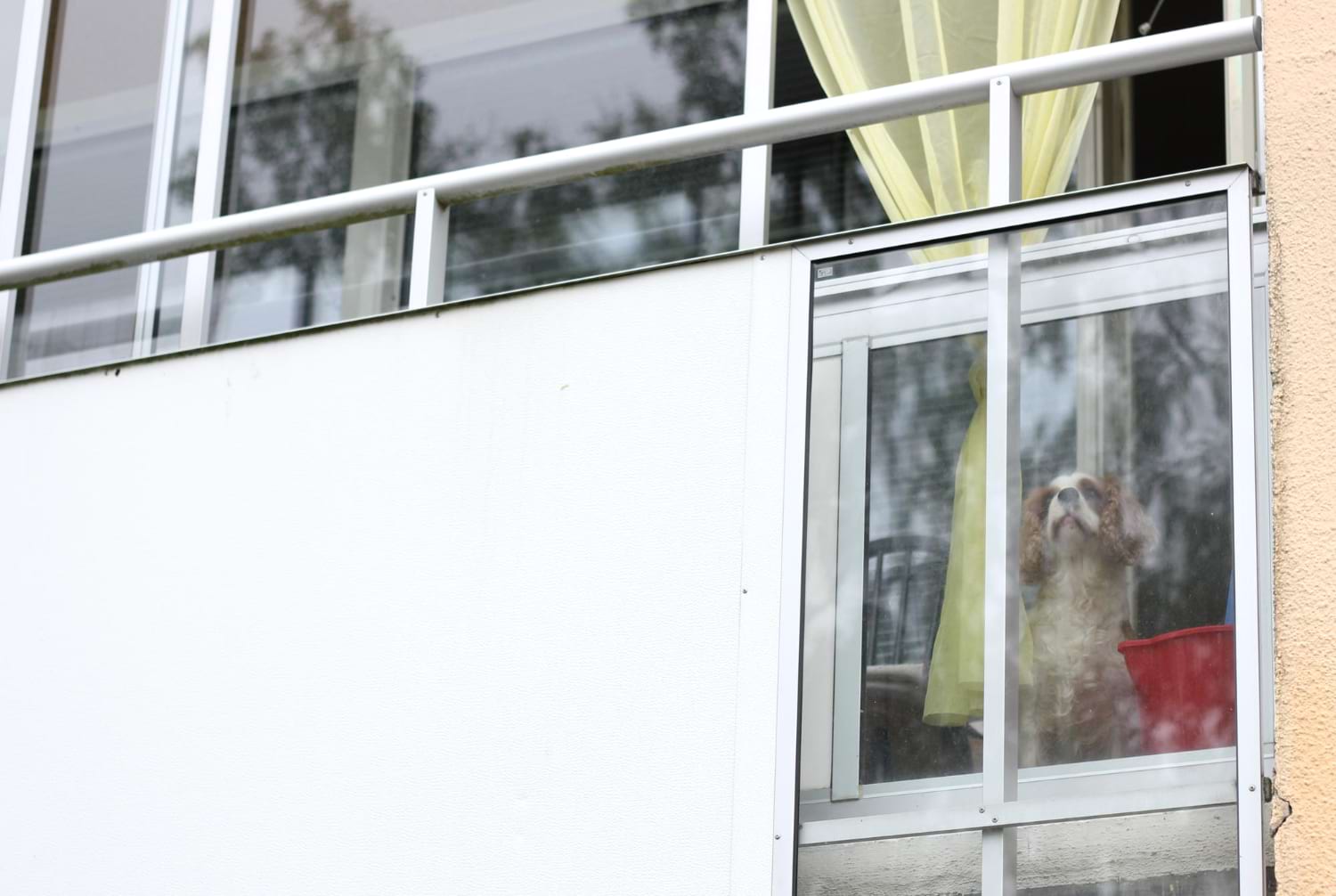 fenster einfach verglast